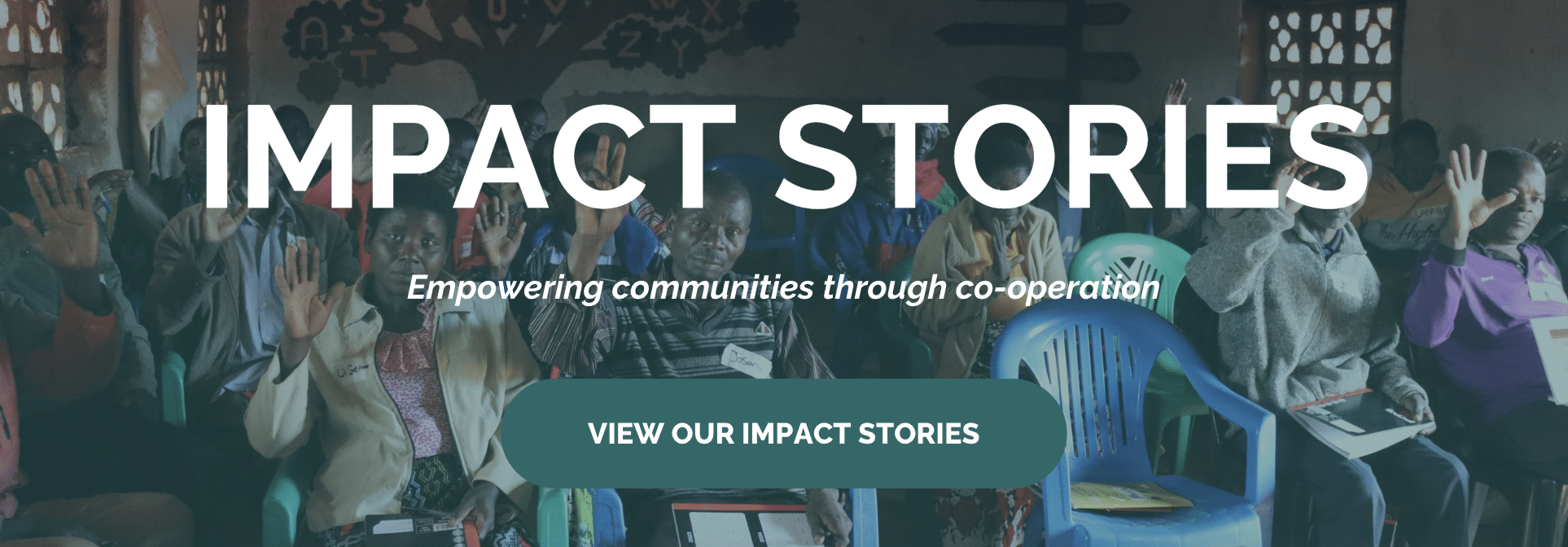 Impact Stories banner
